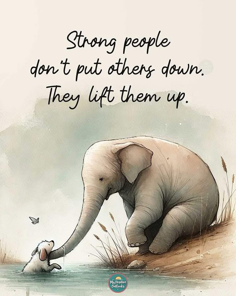 WhatsApp Image 2025-05-08 at 07.12