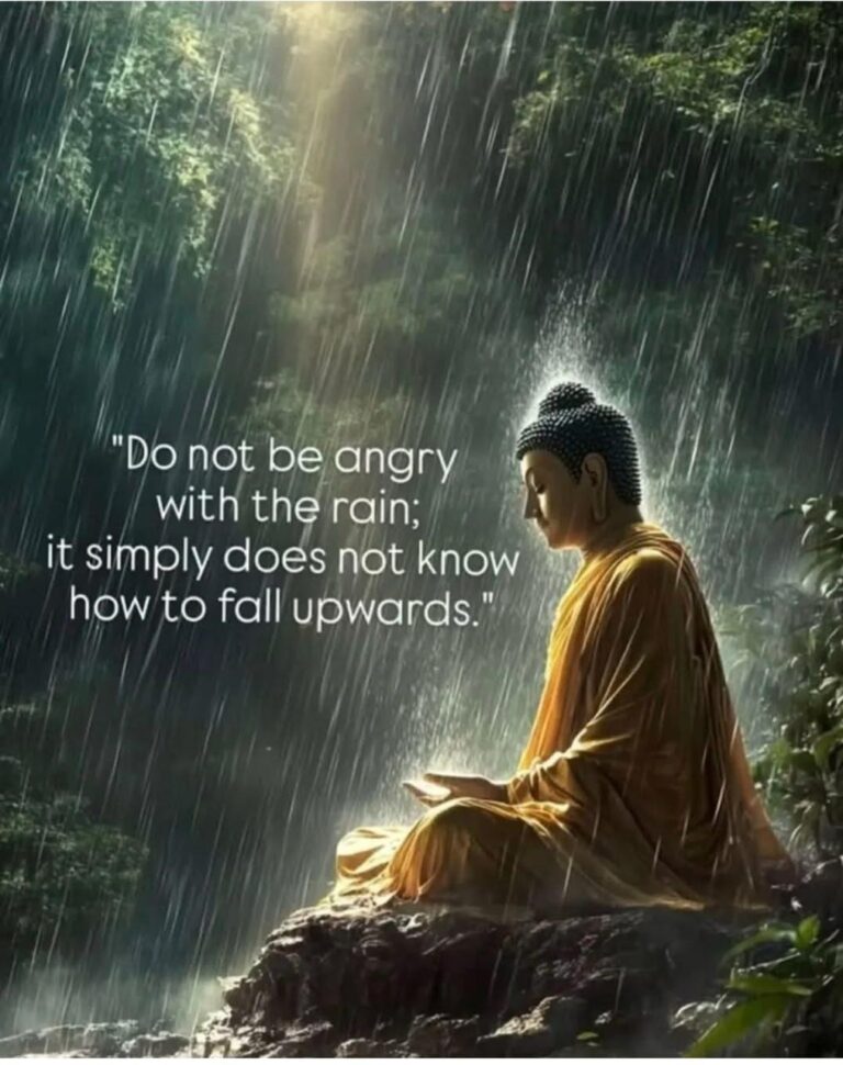 WhatsApp Image 2025-05-14 at 11.18